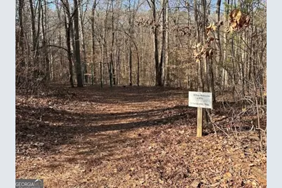 1110 Mayfield Lane, Ranger, GA 30734 - Photo 16