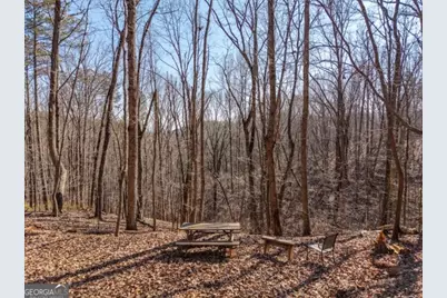 1110 Mayfield Lane, Ranger, GA 30734 - Photo 4