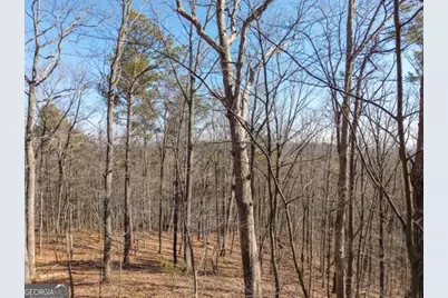 1110 Mayfield Lane, Ranger, GA 30734 - Photo 6