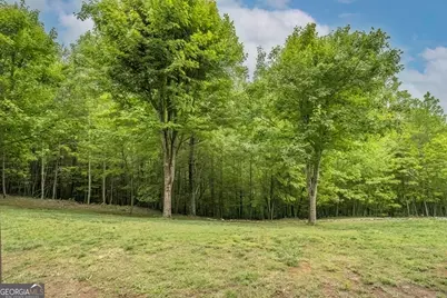 477 Bootlegger Road, Morganton, GA 30560 - Photo 24