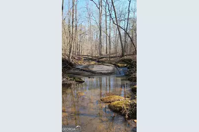 0 Old Zebulon Road, Zebulon, GA 30295 - Photo 1