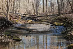 0 Old Zebulon Rd, Zebulon, GA 30295 - Photo 1