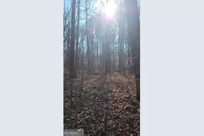 0 Old Zebulon Road, Zebulon, GA 30295 - Photo 12