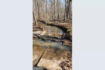 0 Old Zebulon Road, Zebulon, GA 30295 - Photo 2