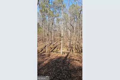 0 Old Zebulon Road, Zebulon, GA 30295 - Photo 10