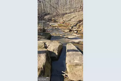 0 Old Zebulon Road, Zebulon, GA 30295 - Photo 6