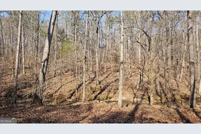 0 Old Zebulon Road, Zebulon, GA 30295 - Photo 16