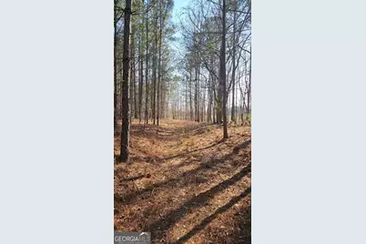 0 Old Zebulon Road, Zebulon, GA 30295 - Photo 18