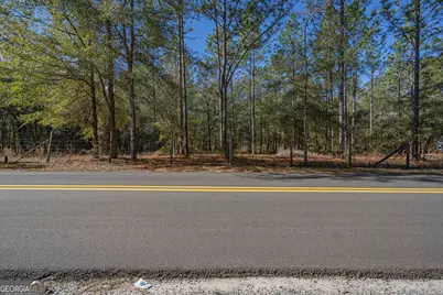 164 Holly Drive, Eden, GA 31307 - Photo 8