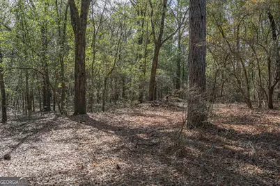 164 Holly Drive, Eden, GA 31307 - Photo 10