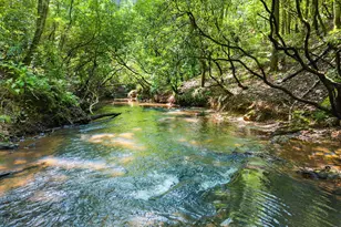 4A 0 Creekside Dr, Cleveland, GA 30528 - Photo 1