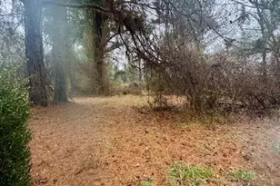 327 Doster Rd, Jefferson, GA 30549 - Photo 2