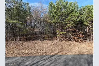 41 Hidden Fields Road, Hiawassee, GA 30546 - Photo 2