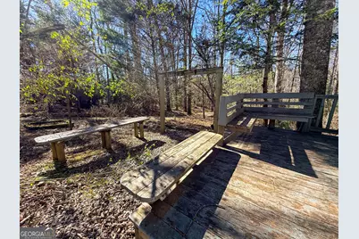 33 McNabb Lane, Clarkesville, GA 30523 - Photo 42