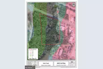 0 S Ga Hwy 341, Jesup, GA 31545 - Photo 6