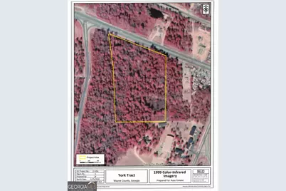 0 S Ga Hwy 341, Jesup, GA 31545 - Photo 10