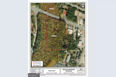 0 S Ga Hwy 341, Jesup, GA 31545 - Photo 8