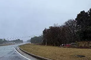 Lot#7 (2 23 Ac) Francis Way, Sharpsburg, GA 30277 - Photo 4