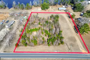 0 Clark Rd, Guyton, GA 31312 - Photo 1