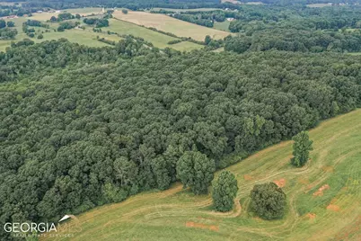 396 W L Williams Road, Commerce, GA 30530 - Photo 30