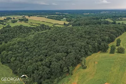 396 W L Williams Road, Commerce, GA 30530 - Photo 28