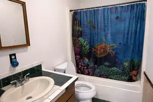 16803 Ga Hwy 169, Glennville, GA 30427 - Photo 18