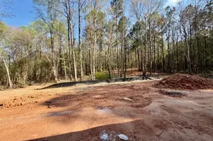 1306 Forrest Farms Dr, Greenville, GA 30222 - Photo 16