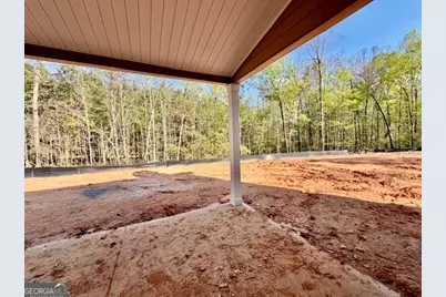 1742 Forrest Farms Drive, Greenville, GA 30222 - Photo 20