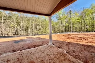 1742 Forrest Farms Dr, Greenville, GA 30222 - Photo 20