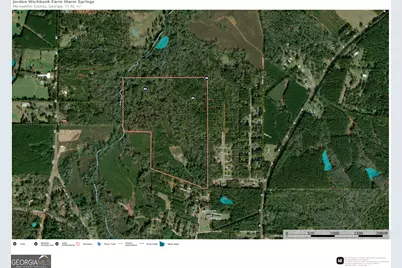 77 Acres Roosevelt Highway, Warm Springs, GA 31830 - Photo 6