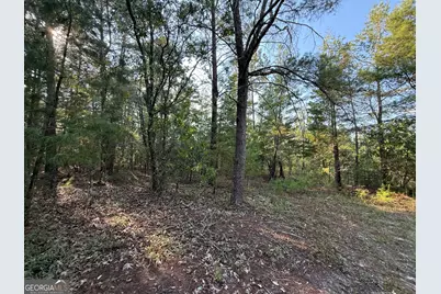 77 Acres Roosevelt Highway, Warm Springs, GA 31830 - Photo 14