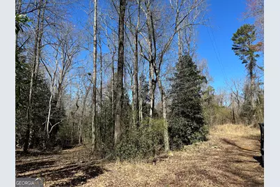 77 Acres Roosevelt Highway, Warm Springs, GA 31830 - Photo 18