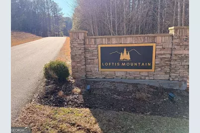 105 Loftis Mountain Road #1, Blairsville, GA 30512 - Photo 2