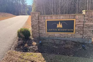 105 Loftis Mountain Rd, Blairsville, GA 30512 - Photo 2