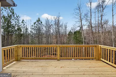 30 Concord Circle, Senoia, GA 30276 - Photo 34