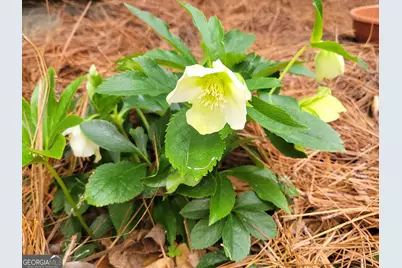 1800 Malco Drive, West Point, GA 31833 - Photo 42