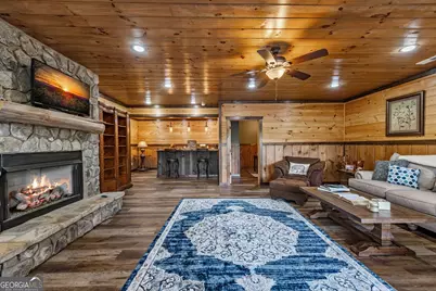 360 Hope Drive, Blue Ridge, GA 30513 - Photo 60