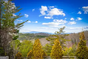 360 Hope Dr, Blue Ridge, GA 30513 - Photo 58