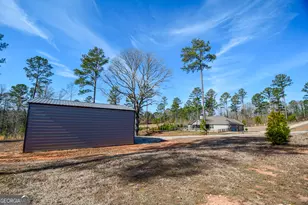 4214 S Hwy 29, Moreland, GA 30259 - Photo 46