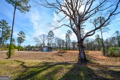 4214 S Highway 29, Moreland, GA 30259 - Photo 36