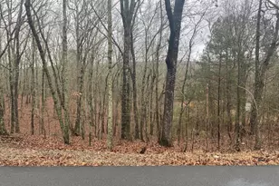 0 John Ingram Rd, Silver Creek, GA 30173 - Photo 1