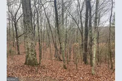 0 John Ingram Road, Silver Creek, GA 30173 - Photo 2