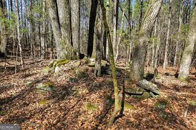 5010 US Highway 27, Franklin, GA 30217 - Photo 28