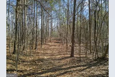 5010 US Highway 27, Franklin, GA 30217 - Photo 30