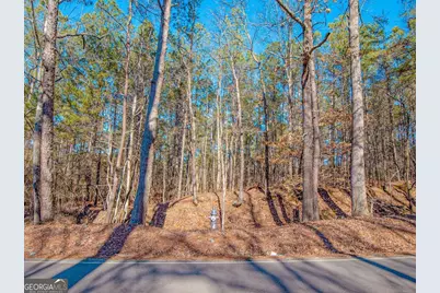 0 Reavis Road, Ball Ground, GA 30107 - Photo 6