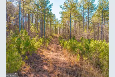 0 Reavis Road, Ball Ground, GA 30107 - Photo 4
