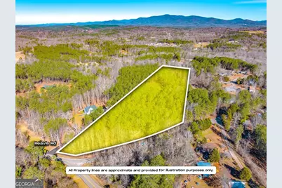 0 Reavis Road, Ball Ground, GA 30107 - Photo 2