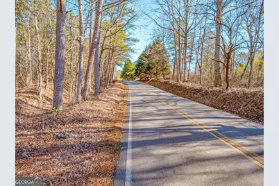 0 Reavis Road, Ball Ground, GA 30107 - Photo 10