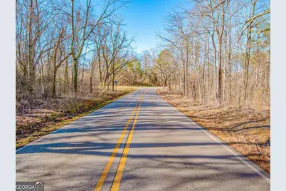 0 Reavis Road, Ball Ground, GA 30107 - Photo 8