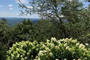 497 Mt Alto Rd SW, Rome, GA 30165 - Photo 38